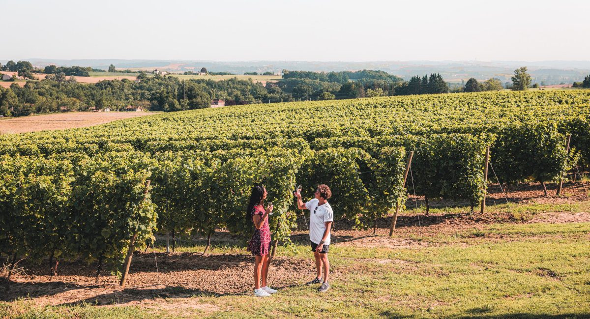 Vignobles AOC Côtes de Duras