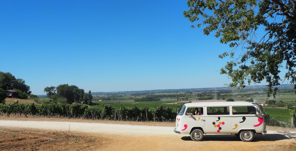 Visite des vignes en Combi