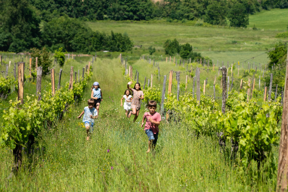 Domaine des Hauts de Riquets