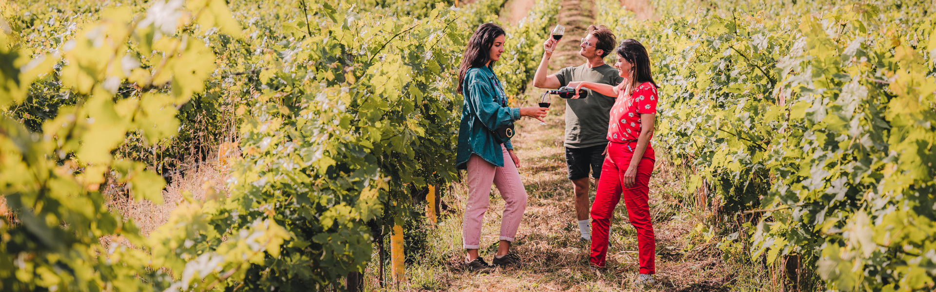 Vignoble de Buzet © Teddy Vernueil - Lezbroz